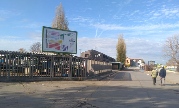 Отрована риба највише се продавала у Новом Саду: Размере помора много веће од очекиваних